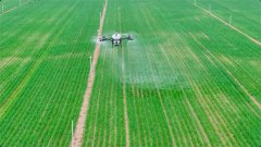 <b>“智能农机+聪慧农业”双场景“聪慧大脑”可以</b>